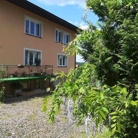 Noclegi Pod Lasem Solina 20 외부 사진