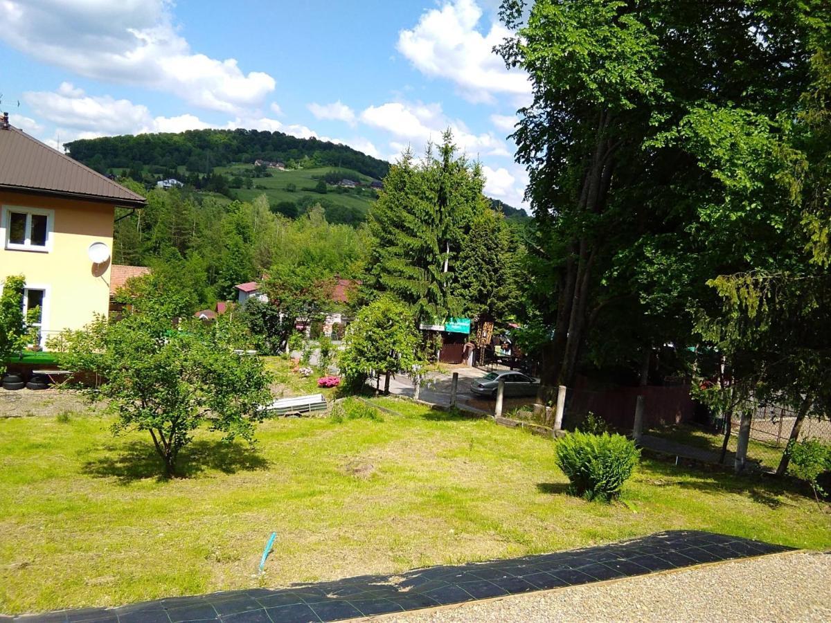 Noclegi Pod Lasem Solina 20 외부 사진